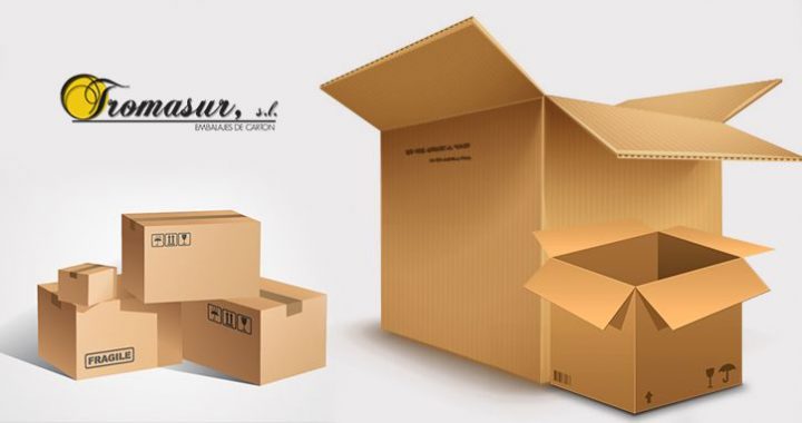 4 ventajas de usar cajas de cartón grandes para guardar los alimentos